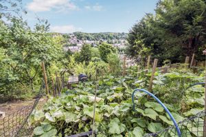 VIEW FROM VEGETABLE GARDEN- click for photo gallery